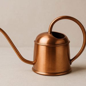 Decorative Copper Watering Can for Indoor Plants Small Metal Watering Pot with Ergonomic Handle and Long Narrow Spout for Precision Pouring